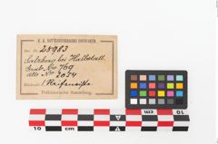 Etikett zu Bronzerippenciste (NHMW-PRAE-025983)